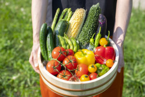 夏野菜