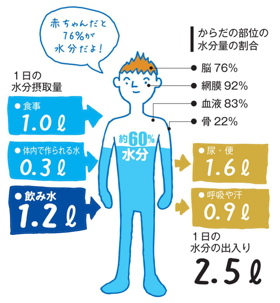 私たちの体の70%は水