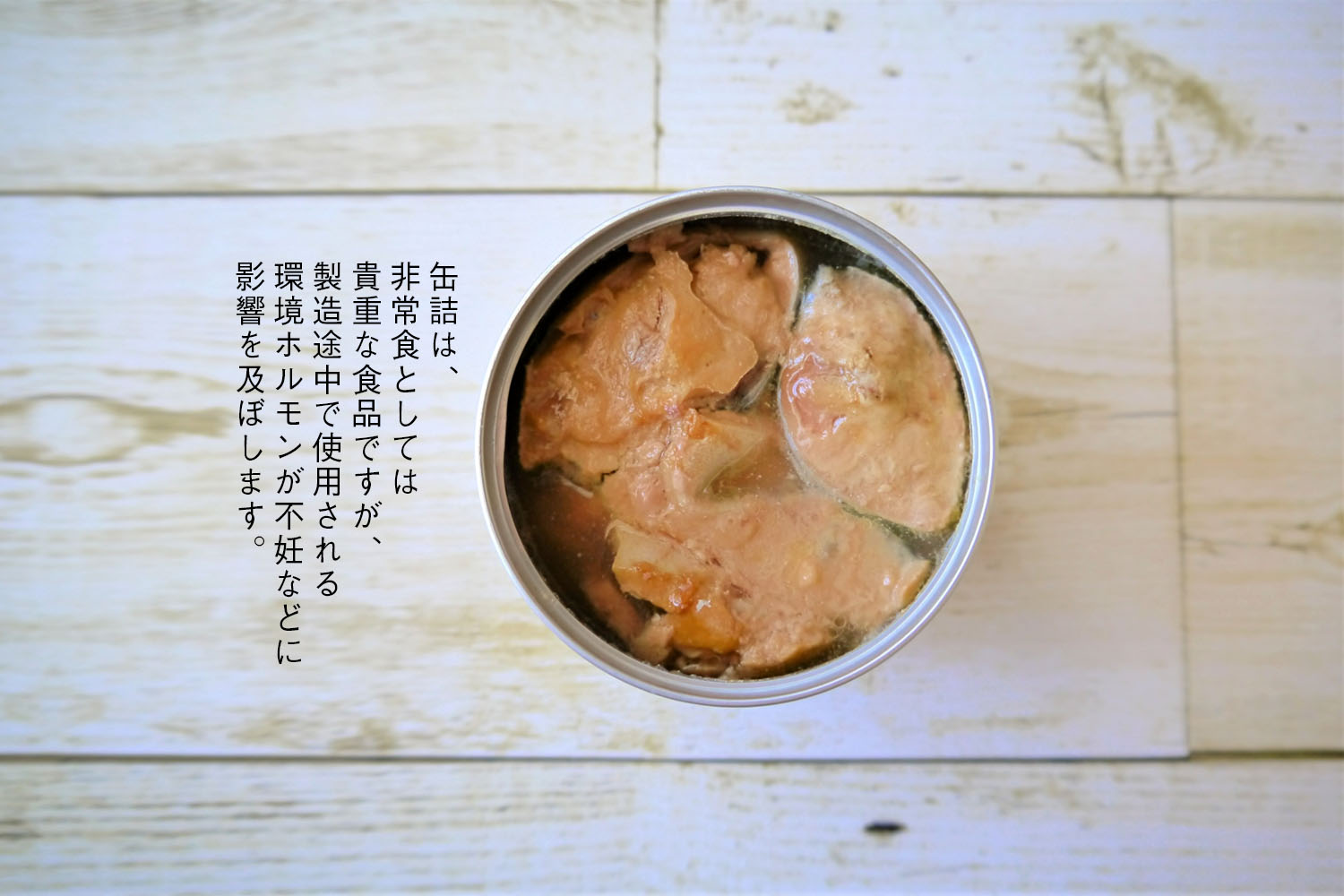 サバ缶