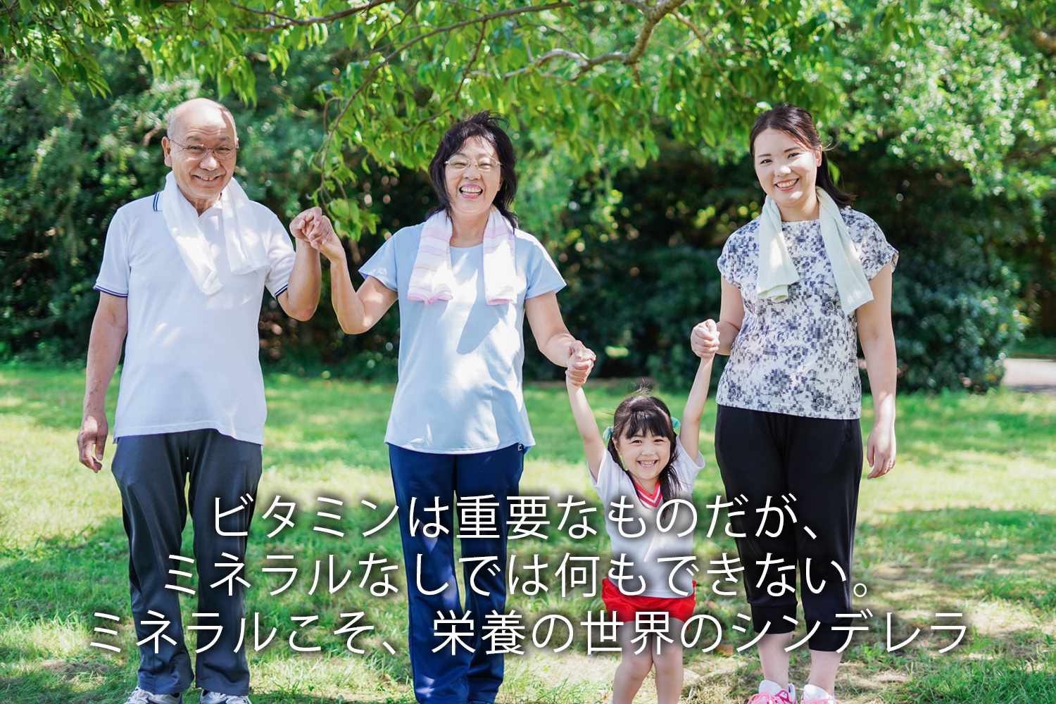 ビタミンは重要なものだが、ミネラルなしでは何もできない。ミネラルこそ、栄養の世界のシンデレラ。