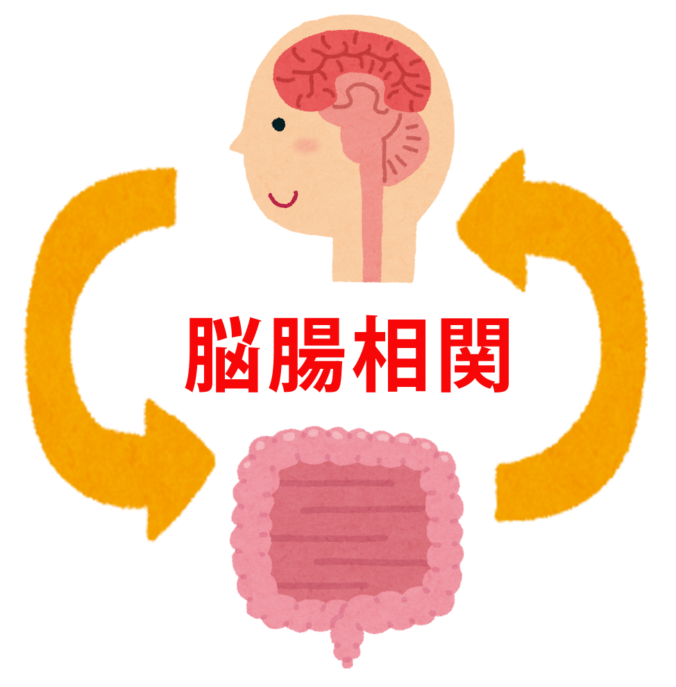 腸と脳の関係を「脳腸相関」